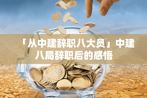 「从中建辞职八大员」中建八局辞职后的感悟