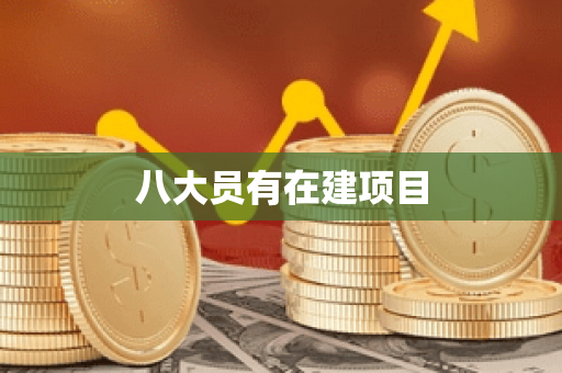 八大员有在建项目 八大员有在建项目