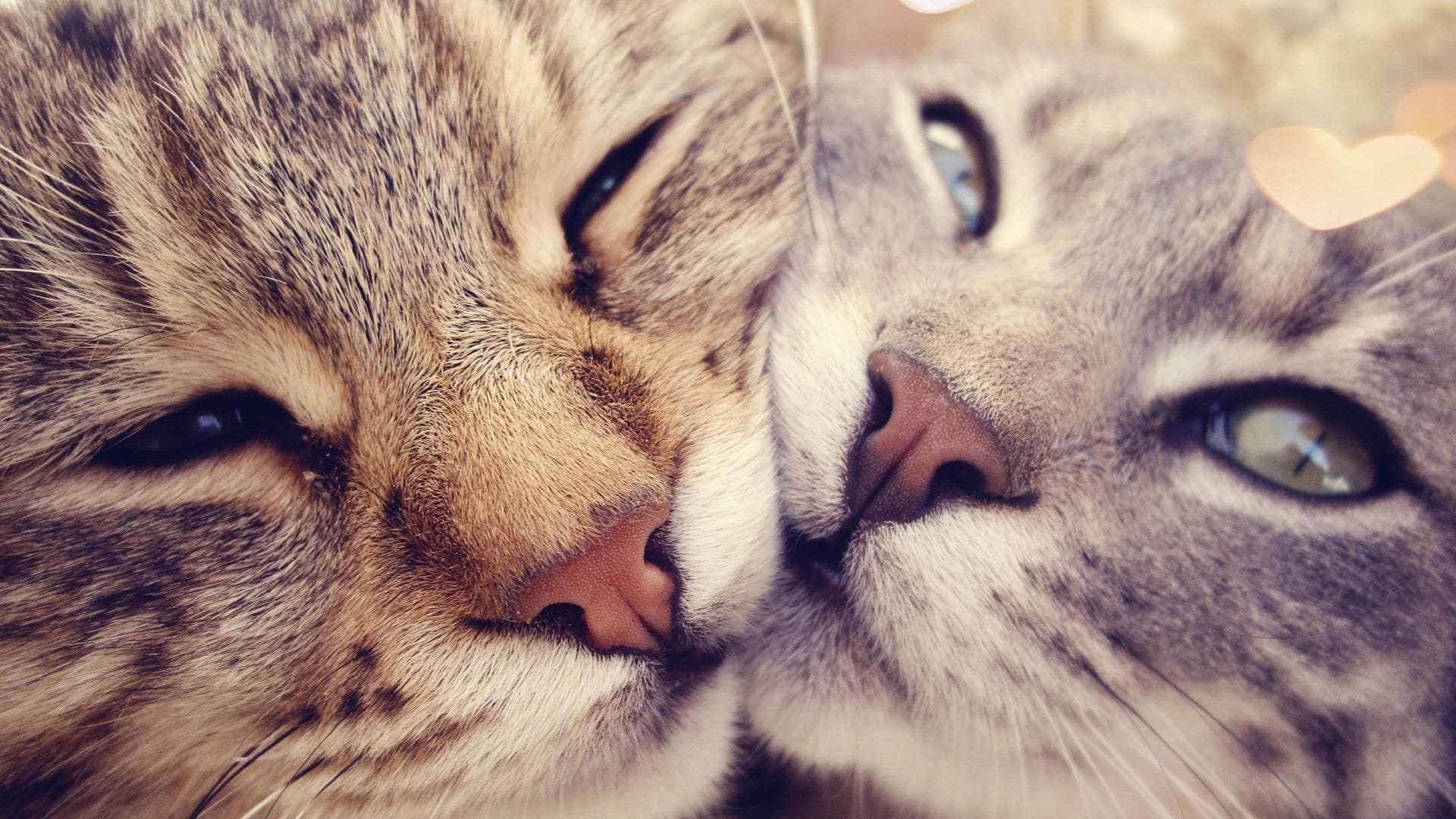 _时空猎人生到105给什么