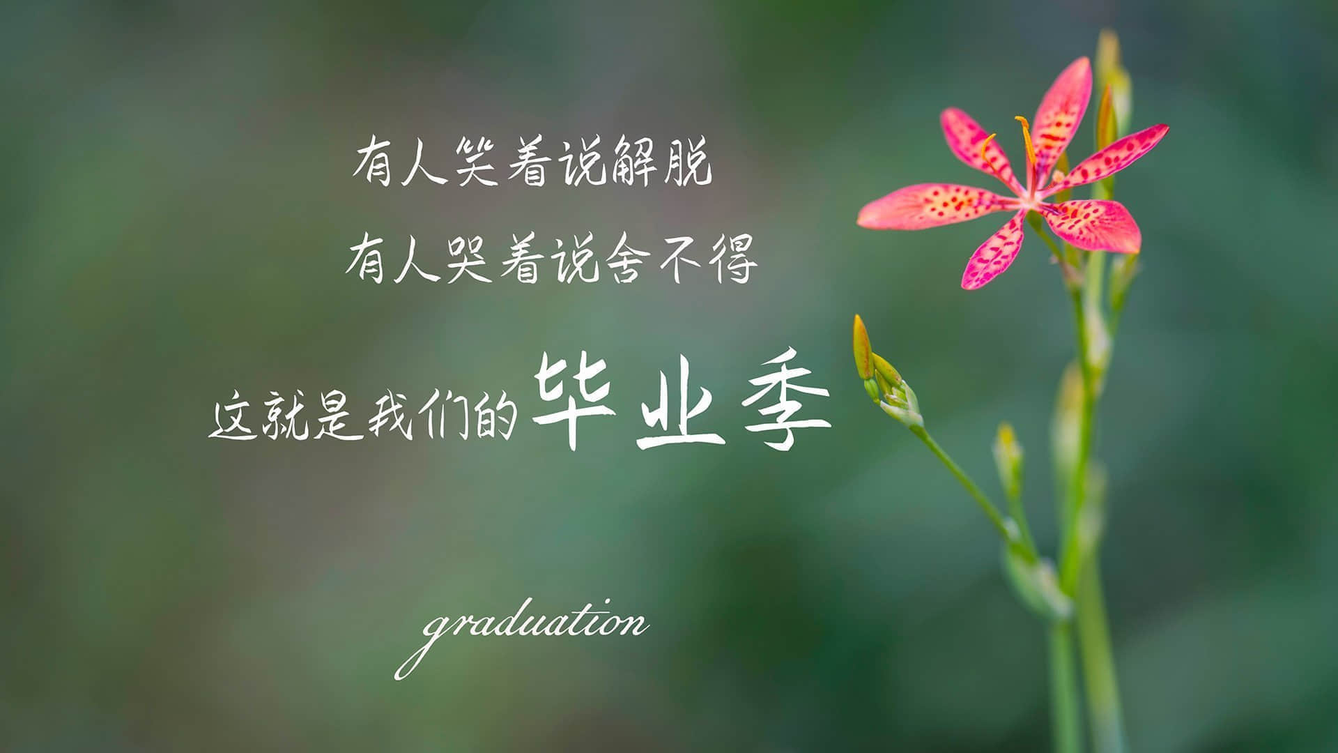 _由于在外省投标需要建设行政主管部门出具建造师无在建项目中任职的证明，建设厅可以办理吗？