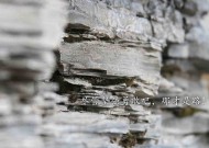 会计从业资格证属于什么职业资格名称及等？