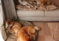 今年从业资格证取消了吗_从业资格证被注销了几年能再重新考过？