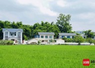 四川省政协委员、省住建厅厅长田文：关注农村住房建设品质 让农户住得更好、更安全 | 封面会客厅