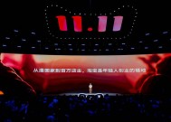一百条百亿品类新赛道上都有哪些“运动员”?这届双11“多巴胺”经济爆发
