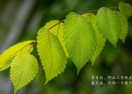 国庆节为什么有的工地不放假？