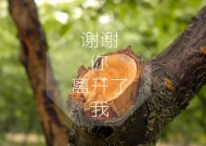 近代中国史纲上册第七章(转载)