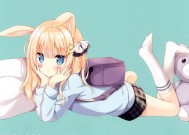 证件真伪查询_如何核查证件真伪