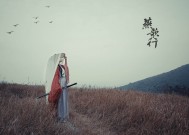 足球世界杯首发人数是多少_世界杯国家队人数