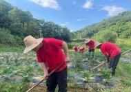 七部委共同推进巩固拓展脱贫攻坚成果同乡村振兴有效衔接工作