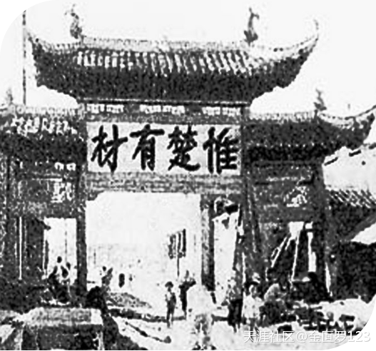 惟楚有材斯为盛